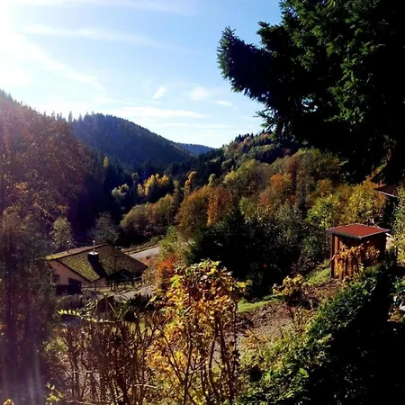 Fuer 5 Personen Ca 70 Qm In Andreasberg, Harz Oberharz Ferienhaus Sankt Andreasberg
