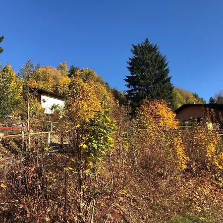 Fuer 5 Personen Ca 70 Qm In Andreasberg, Harz Oberharz * Sankt Andreasberg