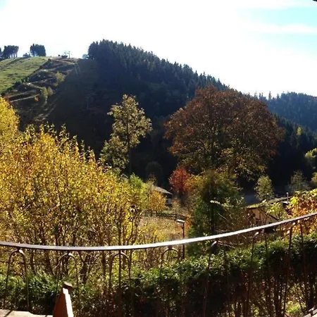 Ferienhaus Fuer 5 Personen Ca 70 Qm In Andreasberg, Harz Oberharz